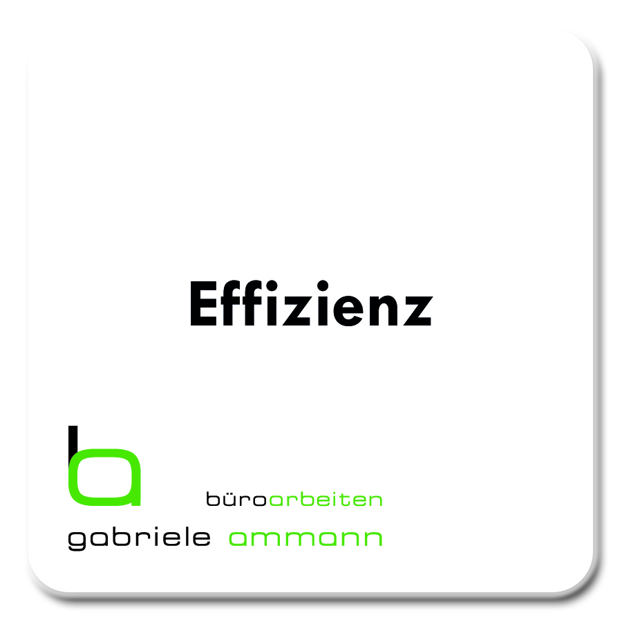 gabriele_ammann_Effizienz